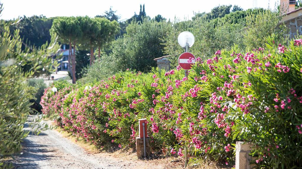 Il Borgo Centro Vacanze Guardistallo Exterior foto
